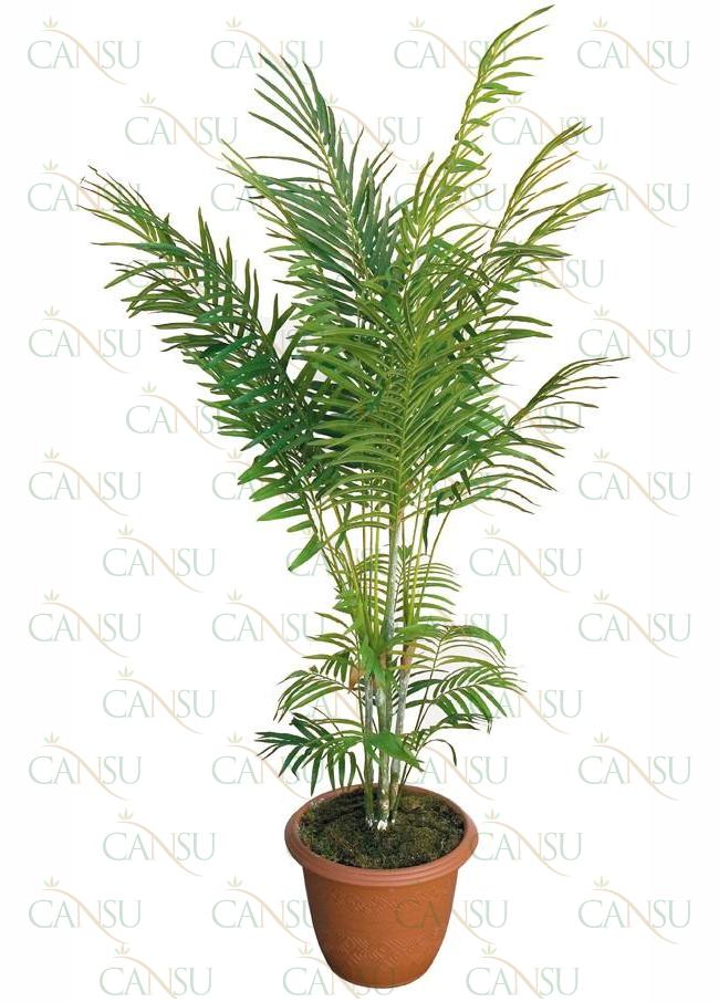 Dekoratif Bitkiler, Model No: CT-07-217